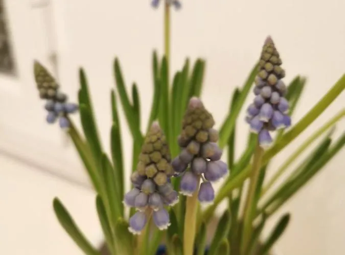 Say What Lisbon? — Street Art / Family * Lisbon