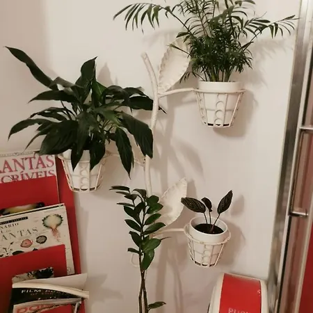 Say What Lisbon? — Street Art / Family *