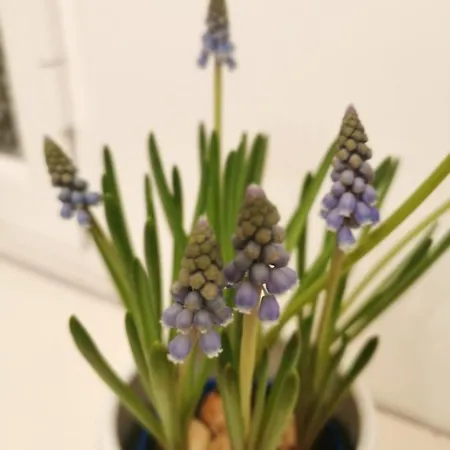 Say What Lisbon? — Street Art / Family * Lisboa